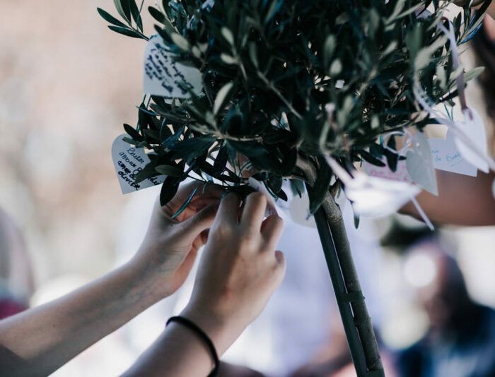 arbre à voeux mariage